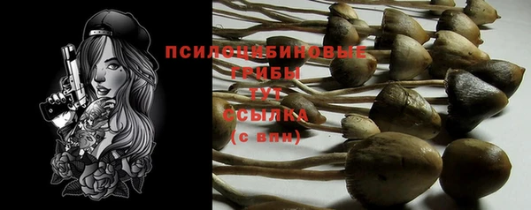 ALPHA PVP Карпинск
