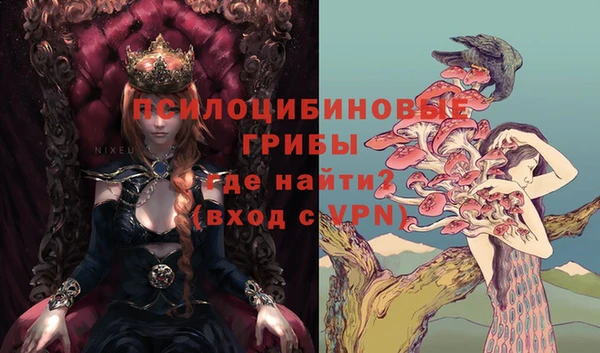 индика Вязники