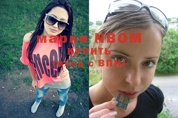 индика Вязники