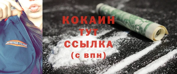 индика Вязники